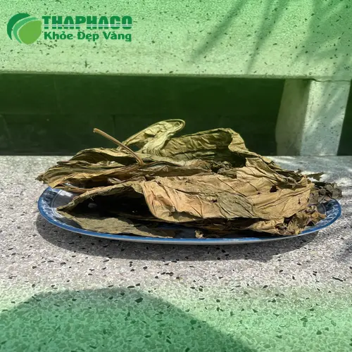 Quy trình đóng gói lá khôi tía chuyên nghiệp tại THAPHACO