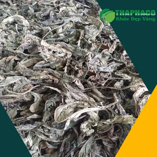 Lá khôi tía được đóng gói cẩn thận, đảm bảo chất lượng