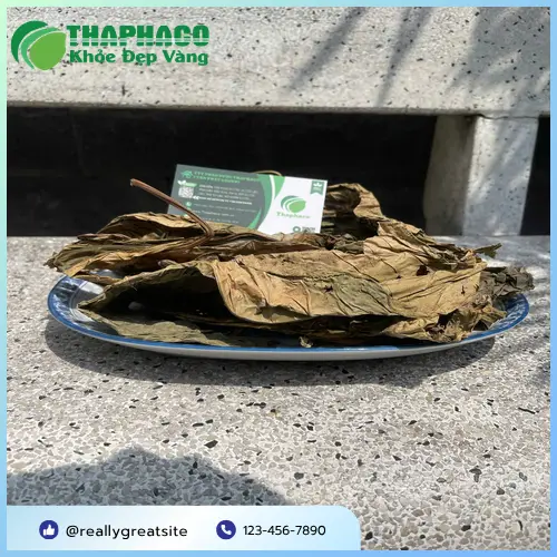 Sản phẩm Lá Khôi Tía sấy khô chất lượng cao từ THAPHACO, đóng gói cẩn thận