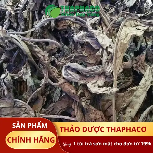Lá khôi tía được kiểm soát chất lượng nghiêm ngặt tại THAPHACO