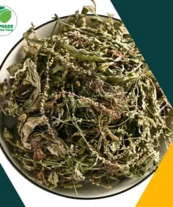 1kg Mã Đề Sấy Khô Giá Bao Nhiêu? Ưu Đãi THAPHACO!