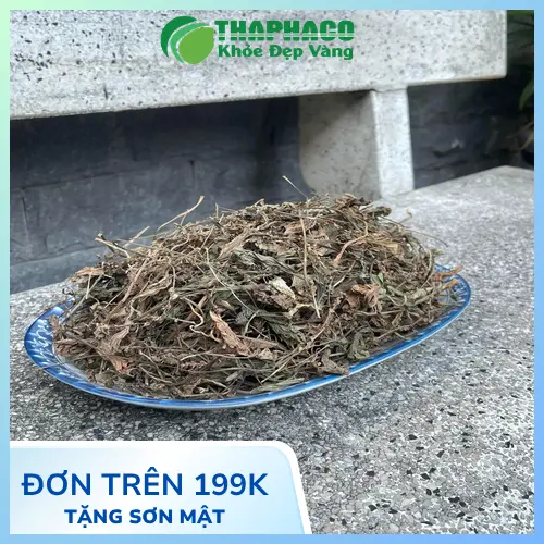 Chính sách bán sỉ mã đề khô ưu đãi tại THAPHACO