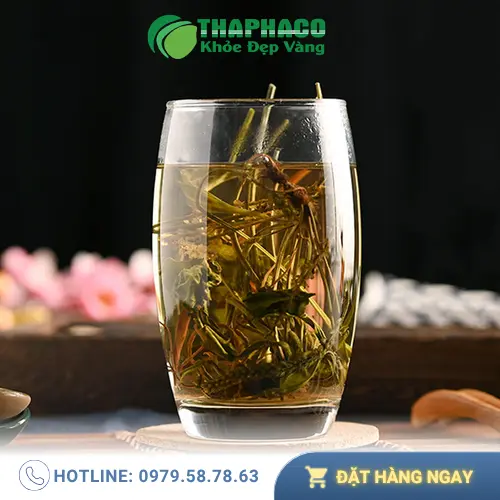 Mã đề sấy khô được đóng gói cẩn thận tại THAPHACO