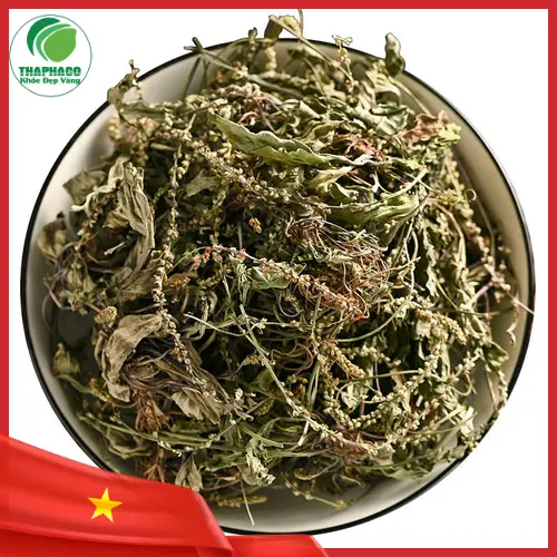 Cách sử dụng và bảo quản mã đề khô đúng cách
