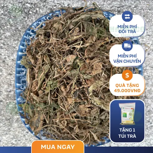 THAPHACO - Thương hiệu uy tín cung cấp mã đề khô