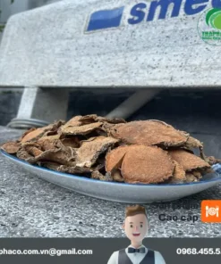 Móp Gai Sấy Khô TP.HCM: THAPHACO – Địa Chỉ Uy Tín, Chất Lượng