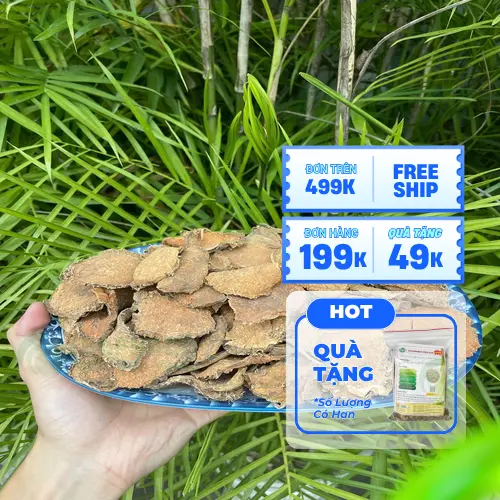 Công dụng của móp gai sấy khô đối với sức khỏe