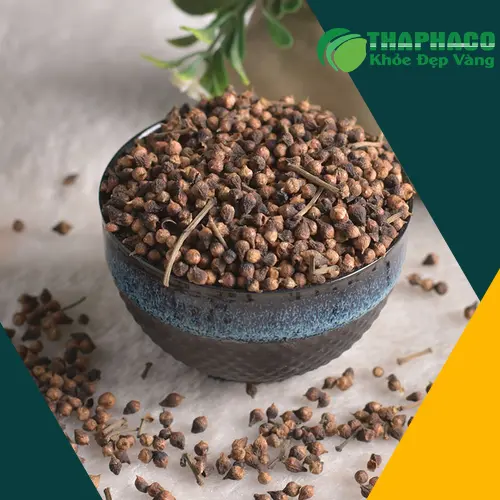 Nụ vối sấy khô chất lượng cao từ THAPHACO