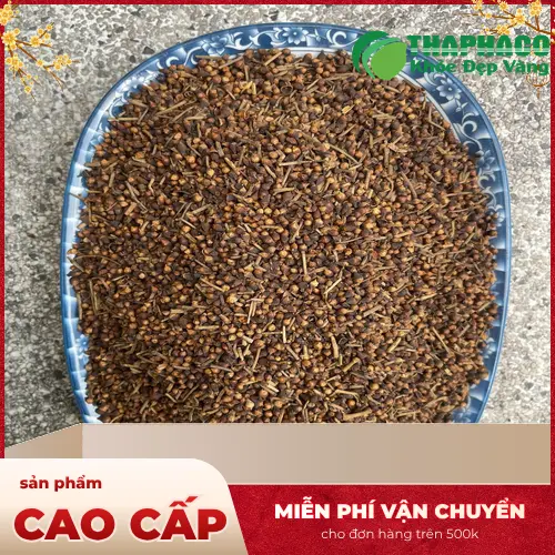 Lợi ích sức khỏe từ nụ vối khô