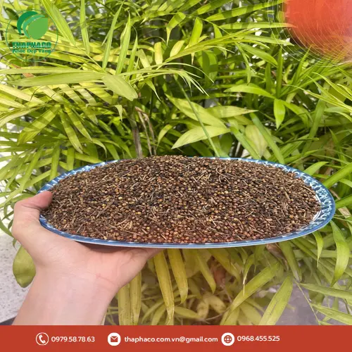 Khách hàng hài lòng khi dùng nụ vối trị mụn