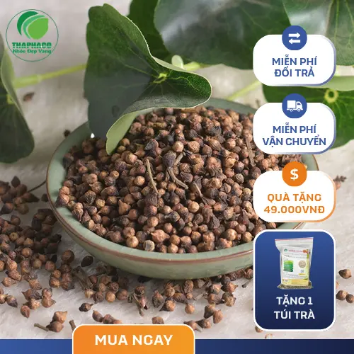 Nụ vối khô Thapaco đóng gói tiện lợi