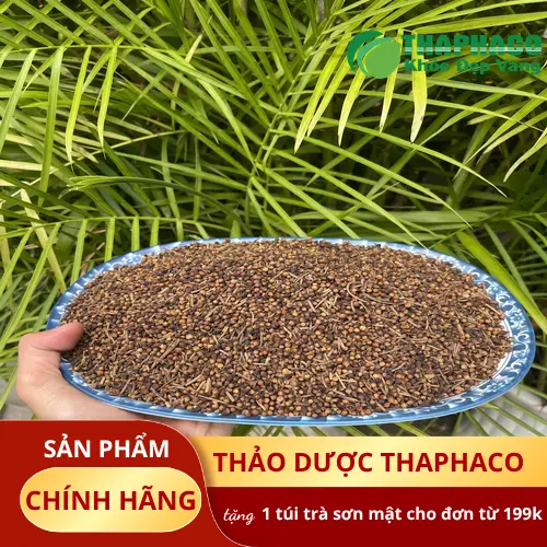 THAPHACO cung cấp nụ vối sấy khô sỉ giá rẻ và freeship tại TP.HCM