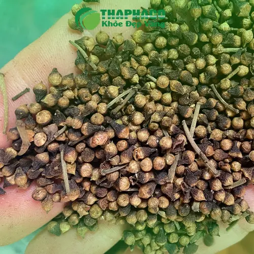 Trà nụ vối thơm ngon, tốt cho sức khỏe
