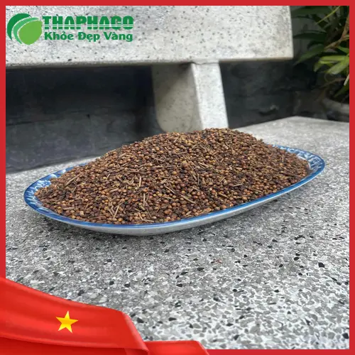 THAPHACO cam kết giao hàng nhanh, uy tín cho khách sỉ tại TP.HCM