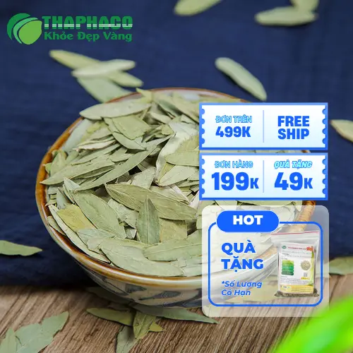 Hình ảnh lá phan tả diệp khô chất lượng từ THAPHACO
