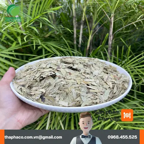 Quy trình kiểm định chất lượng phan tả diệp tại THAPHACO