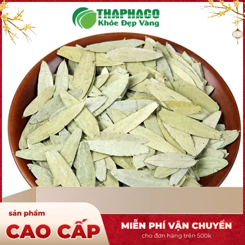 Bảo quản phan tả diệp đúng cách để giữ nguyên dược tính