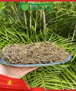 Giá 1kg Cây Sài Đất Sấy Khô? Thapaco Uy Tín, Chất Lượng