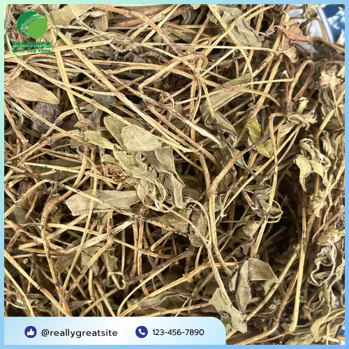 Sài đất khô nguyên chất Thaphaco
