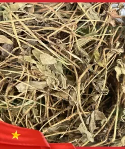 Địa chỉ bán sỉ cây sài đất sấy khô tại TP.HCM