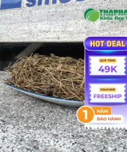 1kg Sài Đất Khô Giá Bao Nhiêu? Mua Sài Đất Chất Lượng Tại TP.HCM