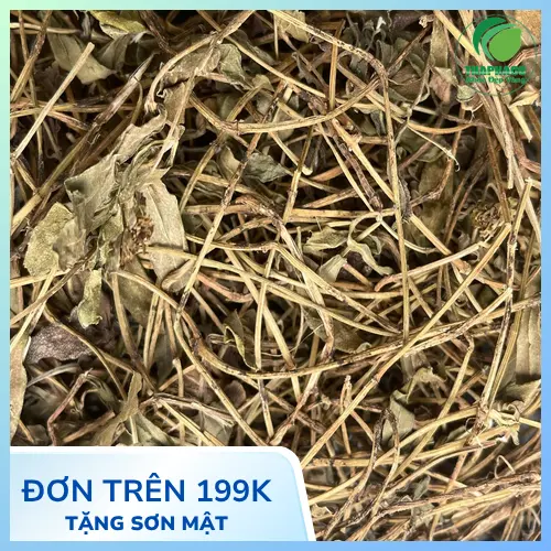Sài đất sấy khô thành phẩm được đóng gói cẩn thận