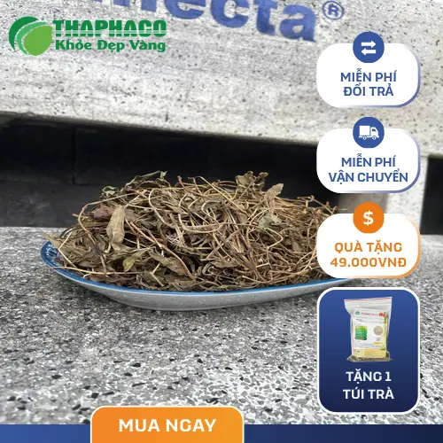 Cận cảnh lá và thân sài đất khô đã qua chế biến tại Thapaco