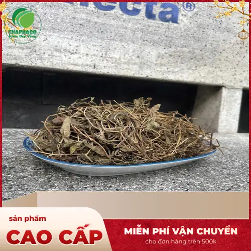 Sài Đất sấy khô gói 500g và 1kg của Thapaco