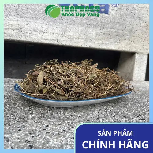 Sài đất khô THAPHACO đóng gói đa dạng