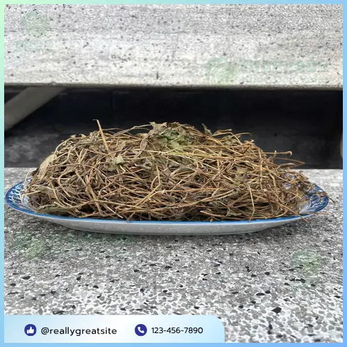 Sài đất khô Thapaco - sản phẩm được đóng gói cẩn thận
