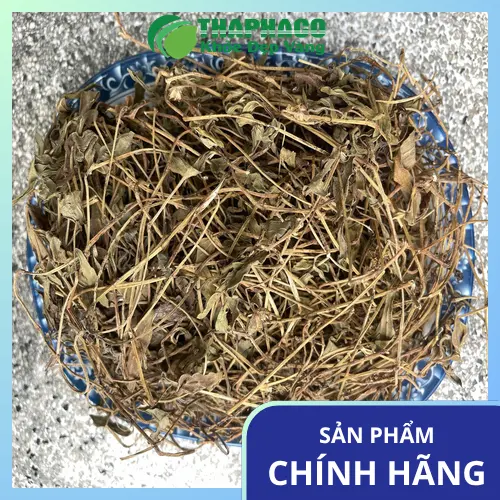 Sài đất sấy khô đóng túi 1kg tiện lợi