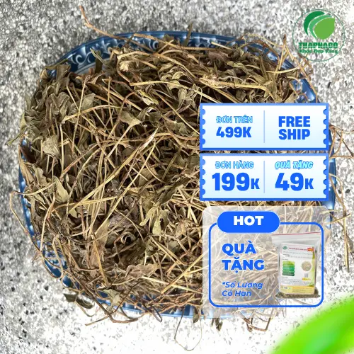 Sài đất khô Thapaco được kiểm định chất lượng nghiêm ngặt