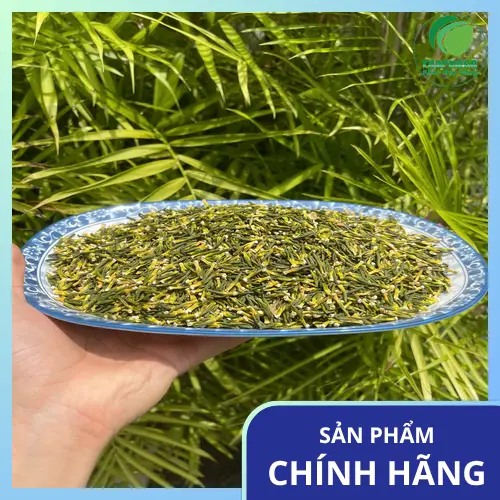 Dược sĩ tư vấn về nguyên nhân và tác hại của mất ngủ trong cuộc sống hiện đại