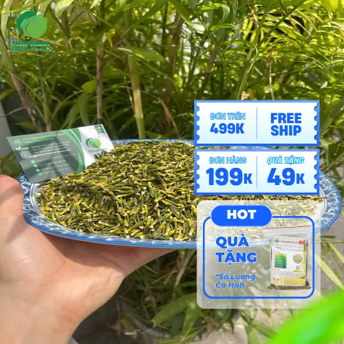 Kết hợp tim sen với các dược liệu khác để tăng cường hiệu quả an thần