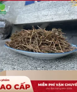 Đại Lý Bán Sỉ Cây Xấu Hổ Sấy Khô TP.HCM Uy Tín, Chất Lượng