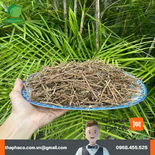 Đa dạng quy cách đóng gói cây xấu hổ khô: 1kg, 500g, 100g