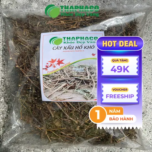 Túi cây xấu hổ sấy khô THAPHACO đóng gói chuẩn