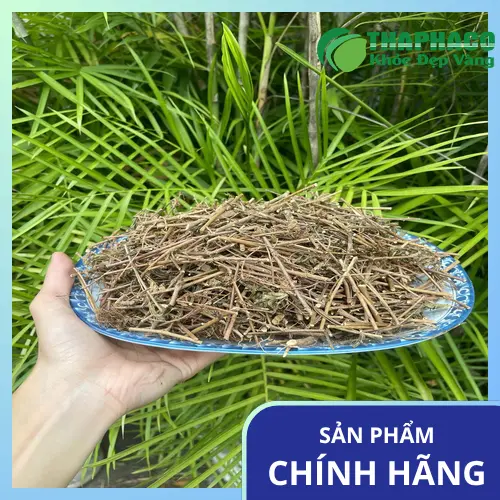 Cách sử dụng cây xấu hổ khô Thaphaco hiệu quả