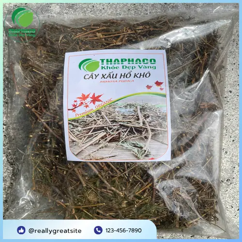 THAPHACO - Địa chỉ mua cây xấu hổ khô tin cậy tại Gò Vấp, TP.HCM
