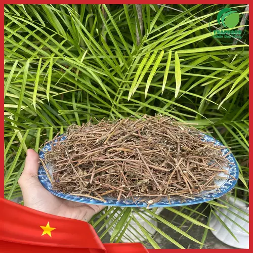 Sản phẩm cây xấu hổ khô 1kg của Thaphaco được đóng gói cẩn thận