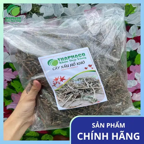 Hình ảnh một tách trà cây xấu hổ đang bốc hơi ấm áp