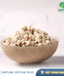 Nên mua ý dĩ chất lượng ở đâu? Tư vấn Dược sĩ THAPHACO