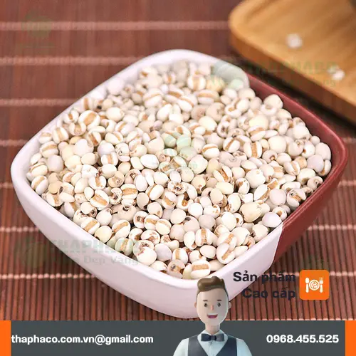 Hạt ý dĩ trắng ngà, đều hạt, được kiểm định chất lượng bởi chuyên gia