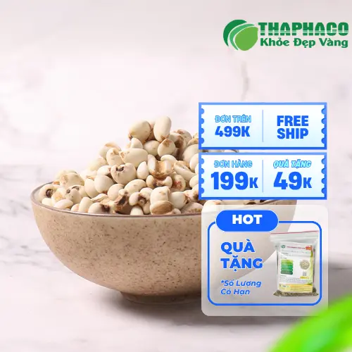 Lợi ích sức khỏe của Ý Dĩ THAPHACO
