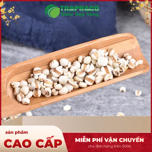 Quy trình sản xuất và kiểm định ý dĩ tại THAPHACO