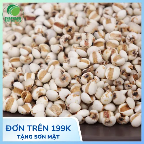 Quy trình kiểm định chất lượng ý dĩ tại Thaphaco