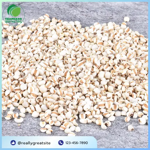 Bát chè ý dĩ thơm ngon, bổ dưỡng giúp tăng cân hiệu quả