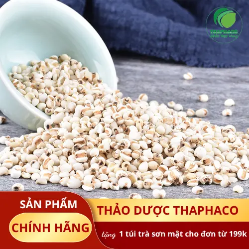 Cách bảo quản ý dĩ đúng cách để dùng được lâu