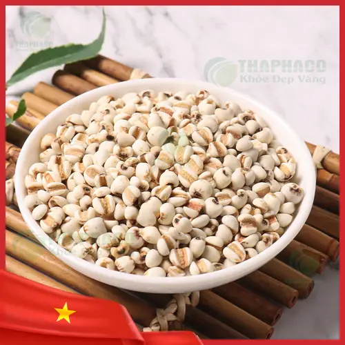 Các loại túi đóng gói ý dĩ tại THAPHACO
