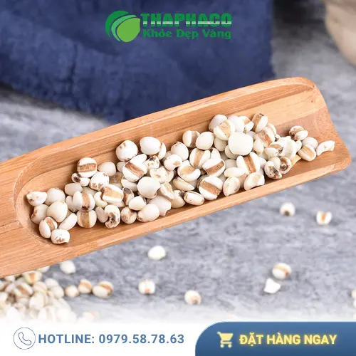 Các món ăn và bài thuốc từ ý dĩ